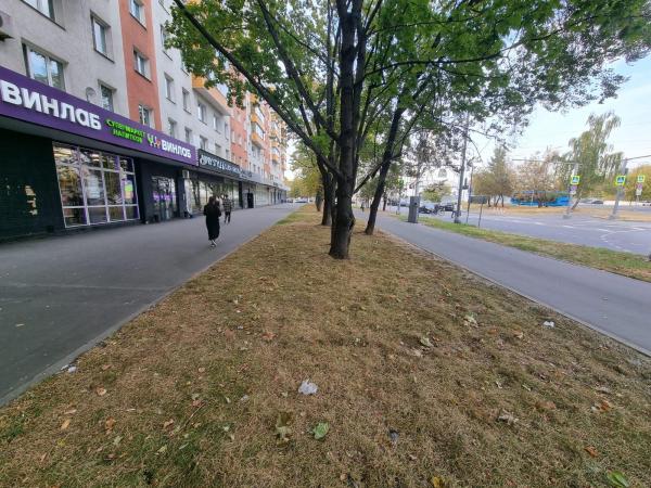 Продажа нежилого помещения с арендатором — фото 2